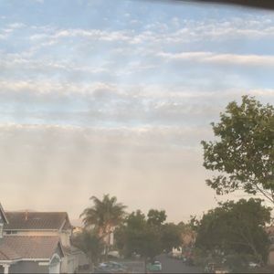 Meet your Posher, Adamaris